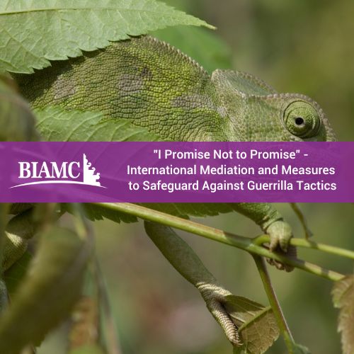 "I Promise Not to Promise"- International Mediation and Measures to Safeguard Against Guerrilla Tactics